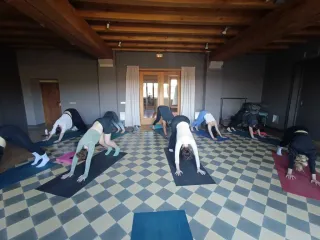 Clases de yoga individuales (also in English)