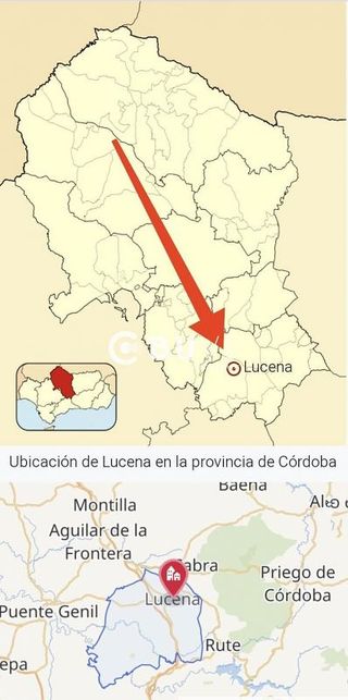 Local comercial en venta en Lucena