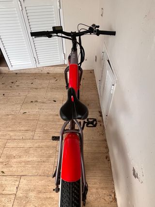 Bicicleta Eléctrica Fat Bike ARS ROD