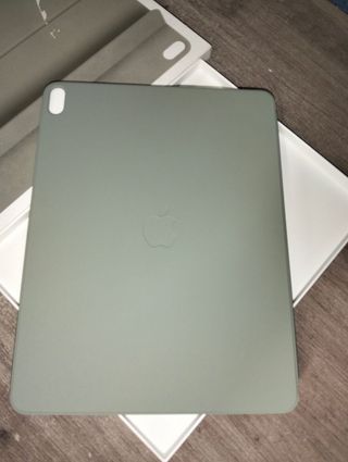 Apple Funda Smart Folio para el iPad Air de 13 pulgadas (M3) - Verde salvia