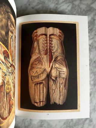 La imagen del cuerpo humano