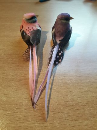 Pareja pájaros plumas decorativos