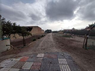 Casa rural en venta en Las Palmeras-Dehesilla en Sanlúcar de Barrameda