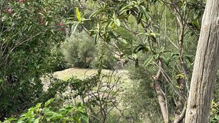 Casa rural en venta en Alcoy/Alcoi