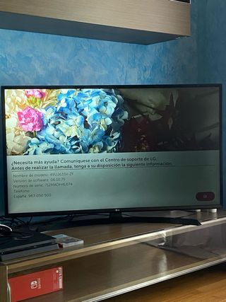 Televisor LG 49 Smart TV