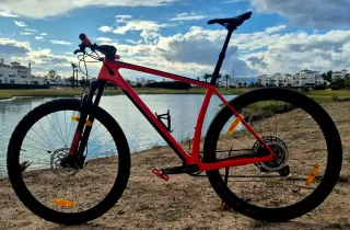 Bicicleta Scott Carbono 29