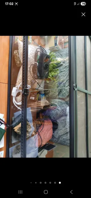 Lote terrario Exoterra