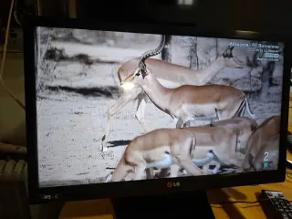 LG  Negro /22/pulgadas