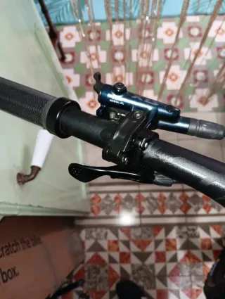 Canyon Spectral 29 2025