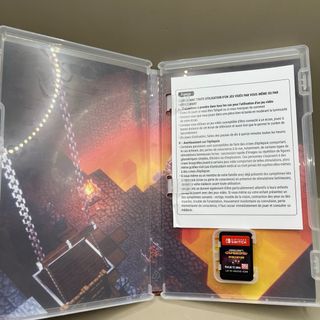 Minecraft Dungeons Hero Edition Switch