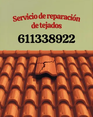 Reparación de tejados la sagra