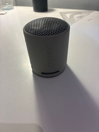 Altavoz Bluetooth Sony SRS-XB100 Beige