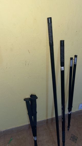 Esquís Fischer Elan Salomon buen estado