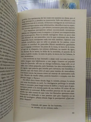 Teoría de la inteligencia creadora