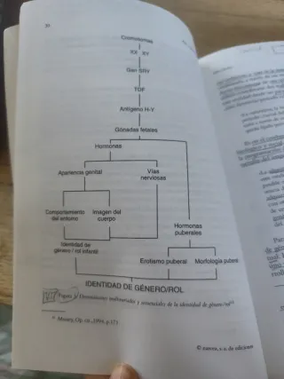 Desarrollo del género en la feminidad y la masc...