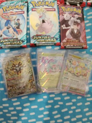 Caja Entrenador Elite Pokémon