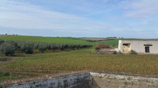 Terreno en venta en Carmona