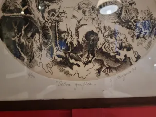 Serigrafia Selva Grafica Gaudenzio Nazario 71