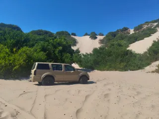 Nissan Pathfinder 2008