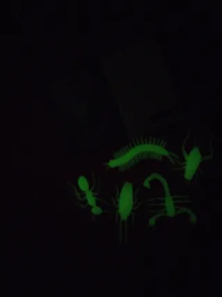 Juguetes insectos Moulin Roty