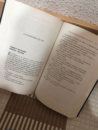 LIBRO STRANGER THINGS