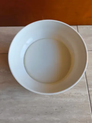 Báscula Terraillon beig