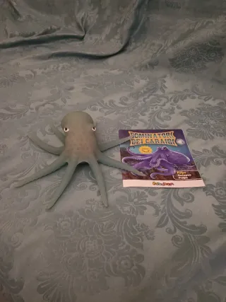 Polpo Sbabam Dominatori dei Caraibi