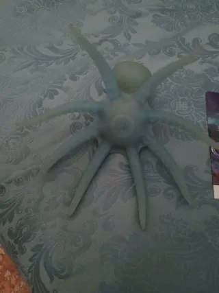 Polpo Sbabam Dominatori dei Caraibi