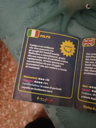 Polpo Sbabam Dominatori dei Caraibi