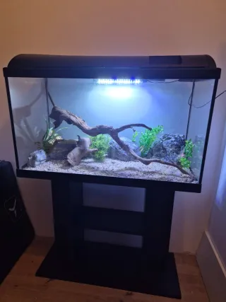 ACUARIO COMPLETO 140 litros, pecera, terrario