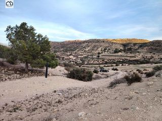 Terreno en venta en Aspe