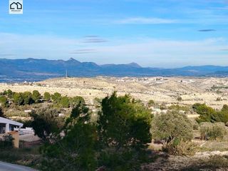 Terreno en venta en Aspe