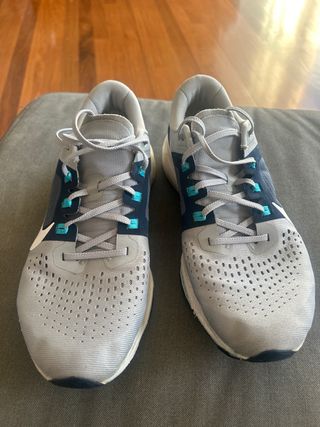 Nike Air Zoom Vomero 15 Zapatillas Hombre