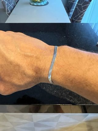 Pulsera Snake Acero Inoxidable Plata