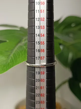 Anillo Plata Ley Delicado