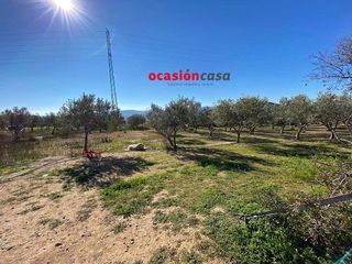 Solar en venta en Peñarroya-Pueblonuevo