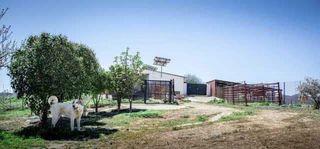 Casa rural en venta en Peñarroya-Pueblonuevo