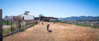 Casa rural en venta en Peñarroya-Pueblonuevo