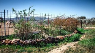 Casa rural en venta en Peñarroya-Pueblonuevo