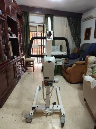 Grúa de traslado eléctrica, bipedestación