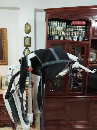 Grúa de traslado eléctrica, bipedestación