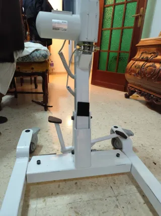 Grúa de traslado eléctrica, bipedestación