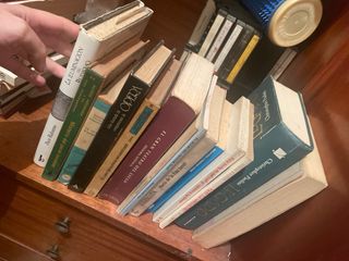 Lote de libros variados castellano y catalan