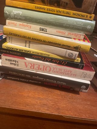 Lote de libros variados castellano y catalan