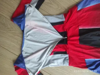 Disfraz Evie Descendientes + Peluca Azul GRATIS