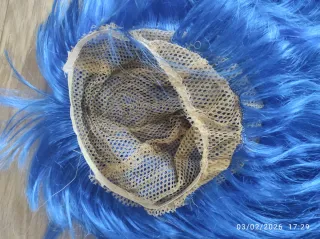 Disfraz Evie Descendientes + Peluca Azul GRATIS