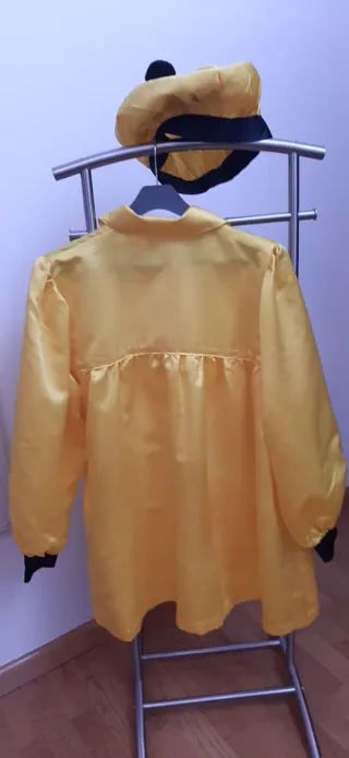 Disfraz carnaval Pintor Clásico