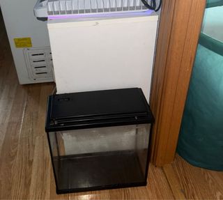 Acuario/pecera pequeña negra