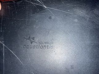 Acuario/pecera pequeña negra