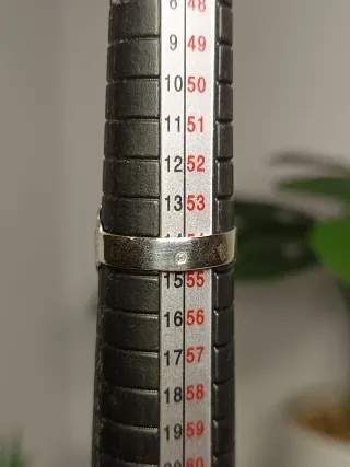 Anillo Plata Ley Virgen Calado